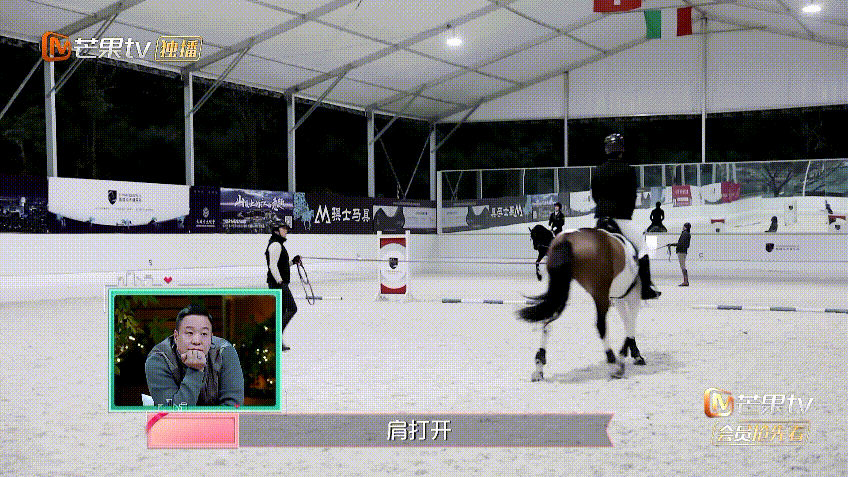 馬術篷房 馬術篷房