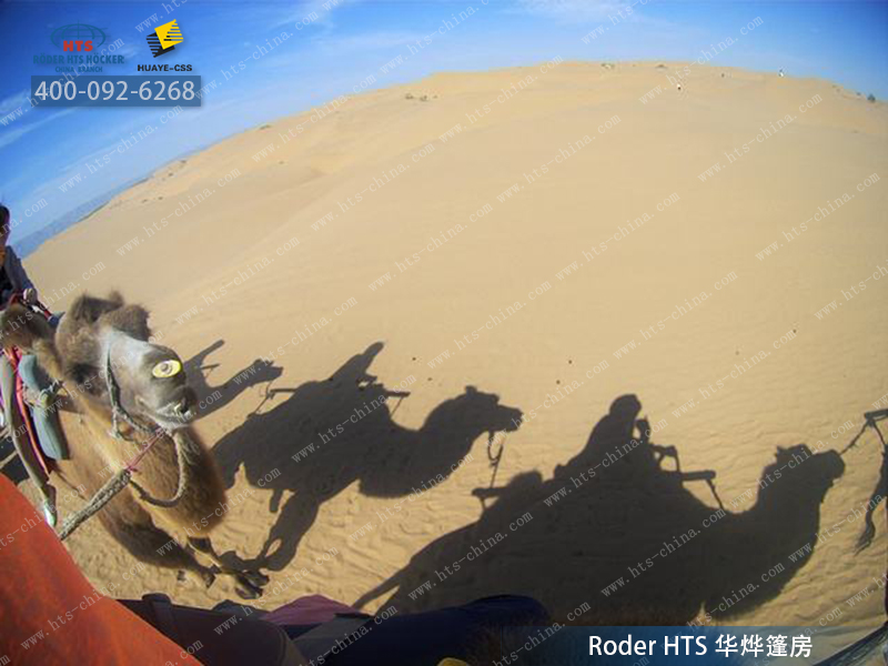 德國大棚 德國大棚