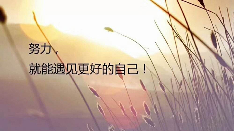 華燁篷房 華燁篷房